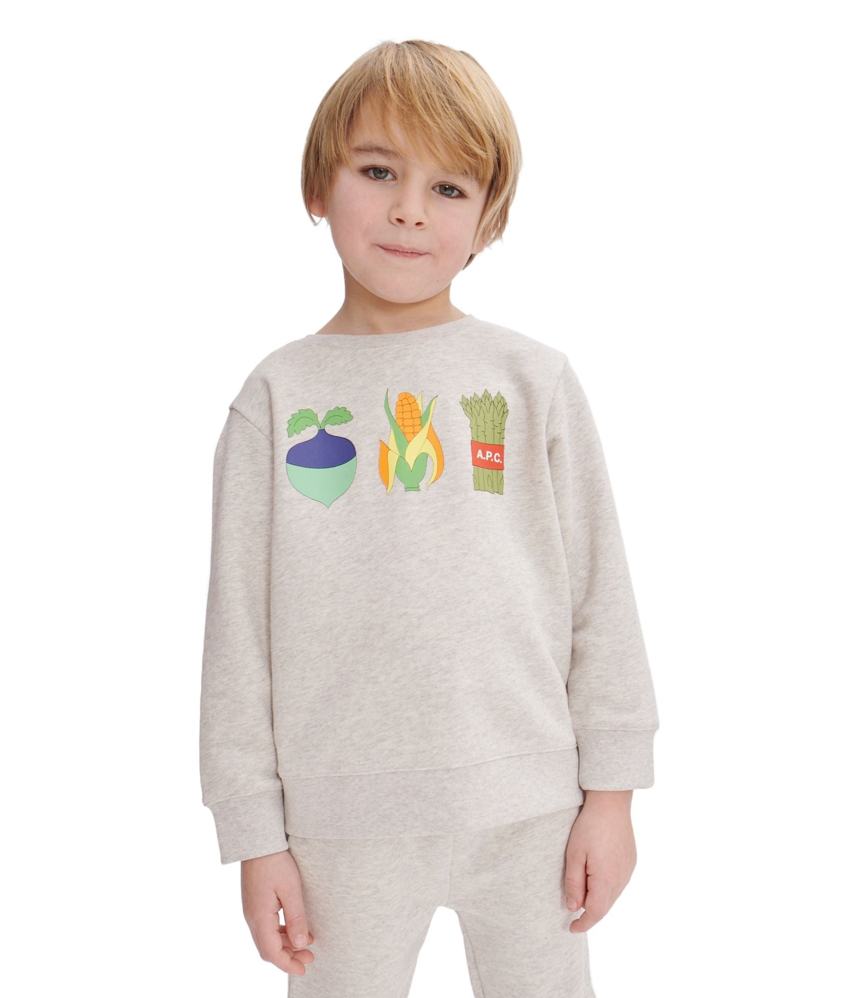Apc grey sweatshirt best sale