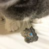 【MUNQA】MANEKI NEKO Lucky Cat Brooch / Brooch